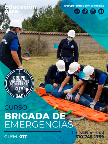 Curso BRIGADA DE EMERGENCIAS (nivel 1)